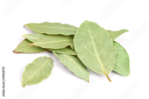 Bay Leaves isolated on white background.