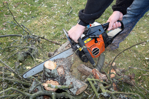 Wallpaper Mural Mann beim Holzschneiden mit der Motorsäge Torontodigital.ca