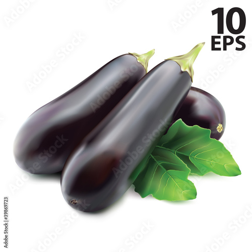 Eggplant, or guinea squash. Vector illustration