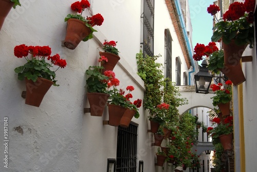 Street of the flowers, Cordoba, Spain © Arena Photo UK