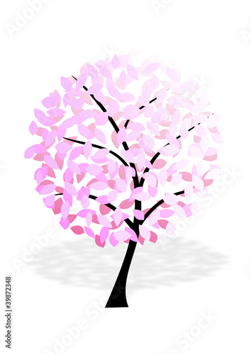 Baum