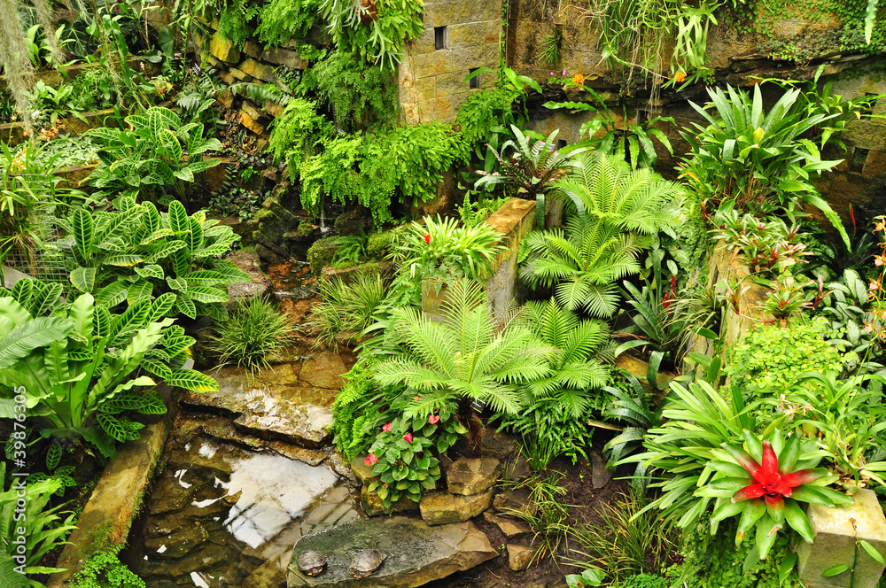 Green tropical garden Green tropical garden