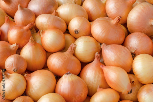Heap of onions