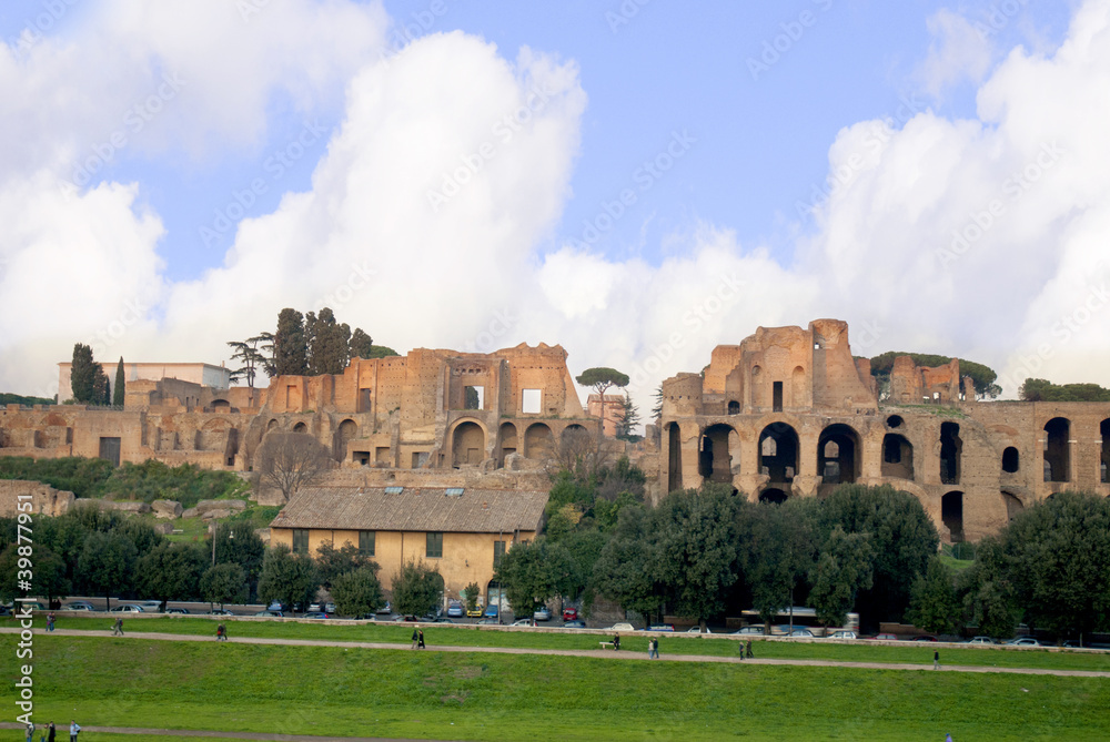 Fototapeta premium The Palatine Hill in Rome Italy