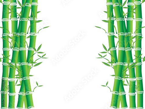 vector illustration of bamboo trees