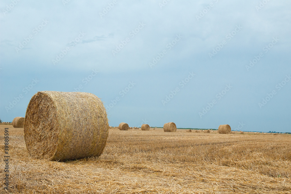 Hay bales on a clear summers day