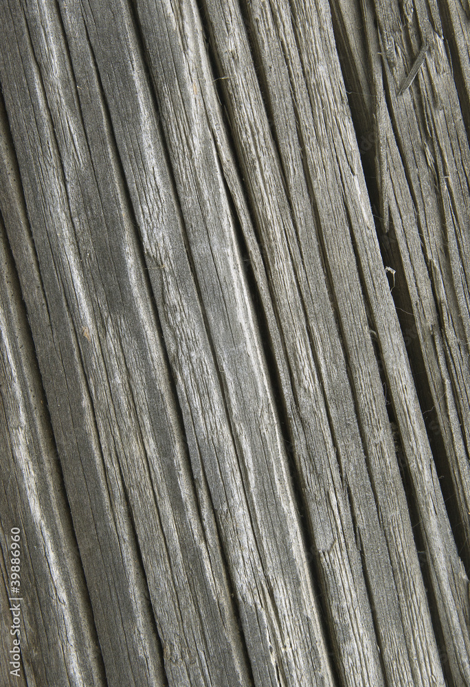Old cracked wood Old cracked wood