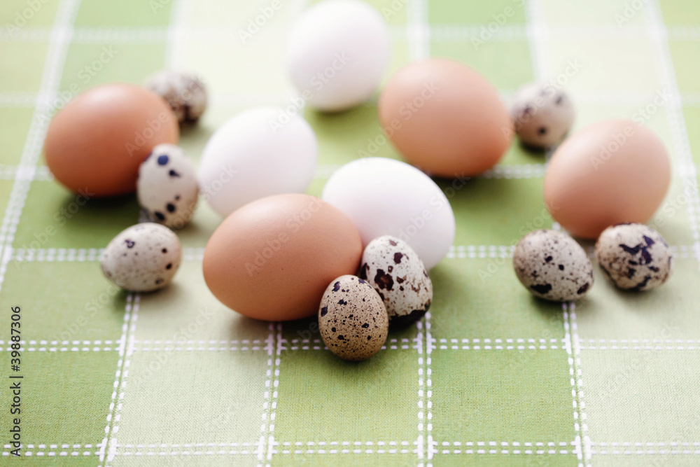 eggs eggs