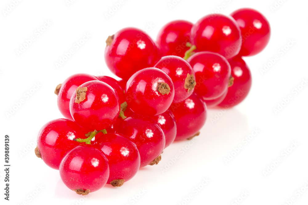 bunch of red currant berries in closeup bunch of red currant berries in closeup