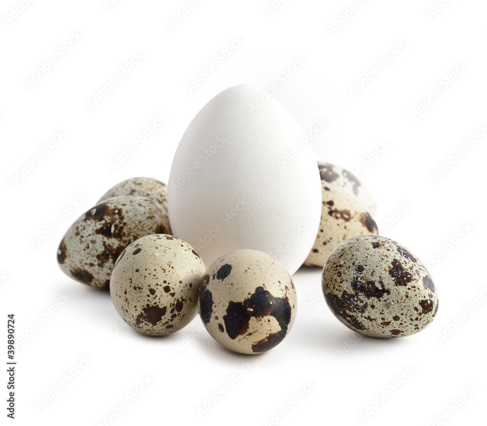 Eggs on white background