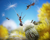 ants flying with umbrellas - seeds of dandelion, ant tales