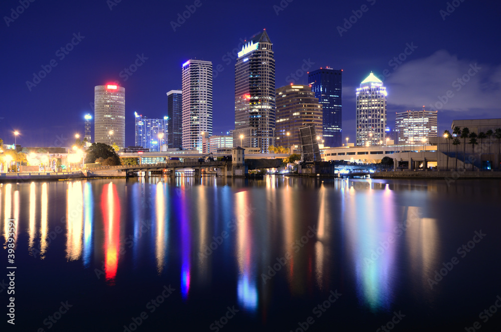 Tampa Bay Skyline