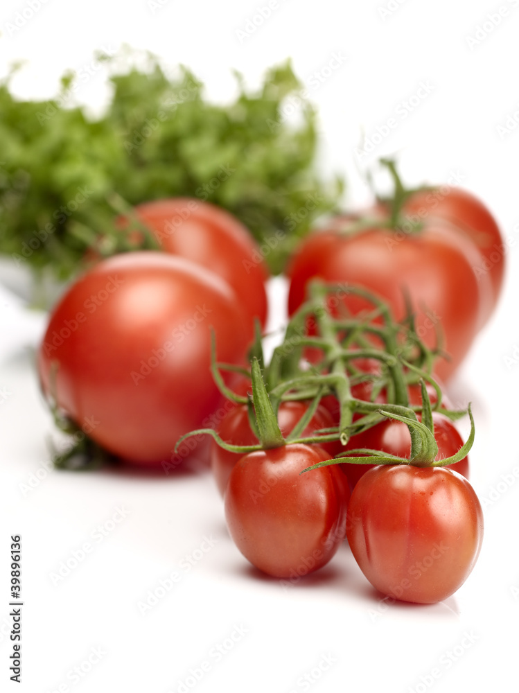 Closeup of cherry tomatoes on the vine Closeup of cherry tomatoes on the vine