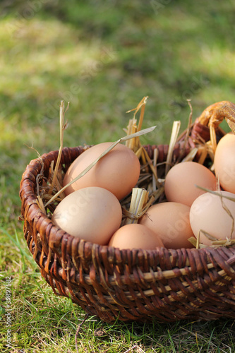Œufs frais dans un panier-9640