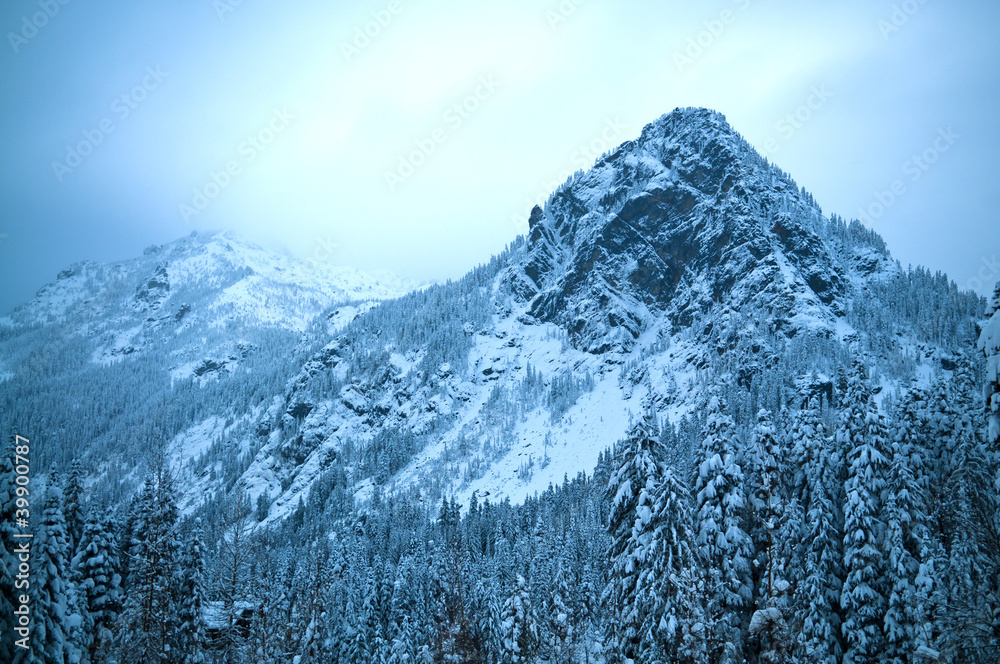Obraz premium Alpental at Snoqualmie pass Winter Mountain Landscape