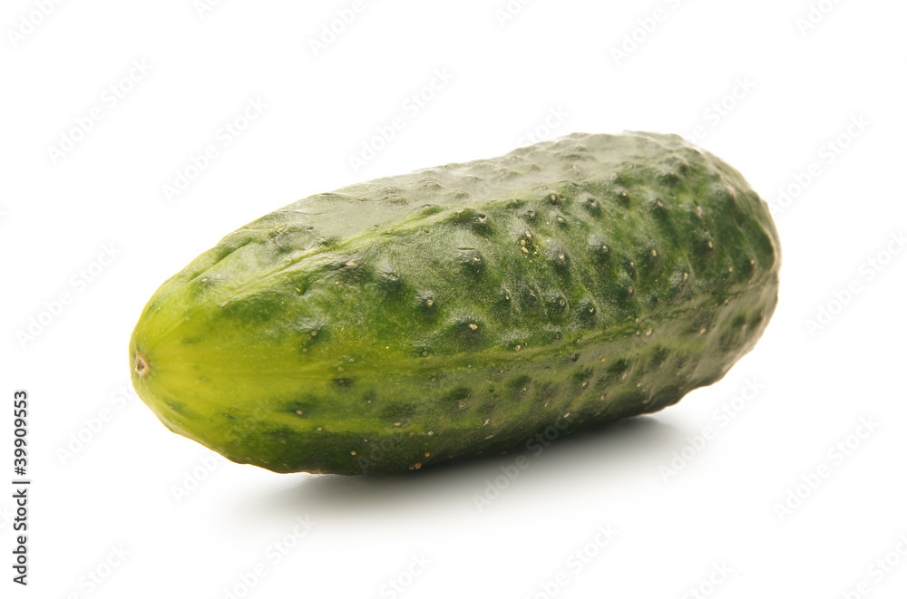 A fresh green cucumber isolated on a white background A fresh green cucumber isolated on a white background
