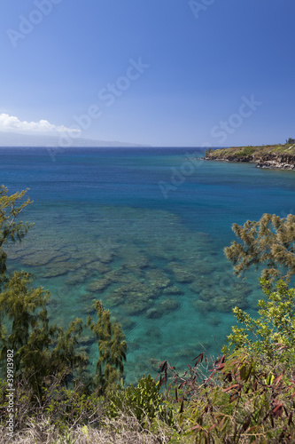 pristeen snokeling waters of honokohau bay in west maui