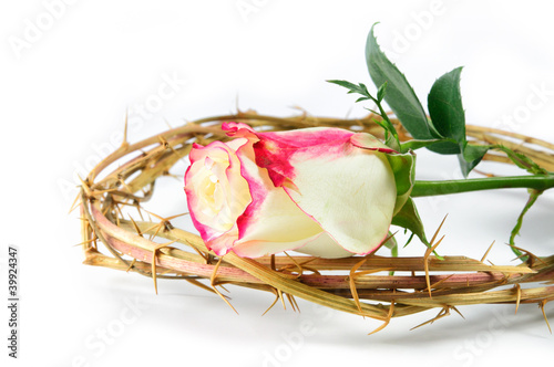 crown of thorns and rose photo