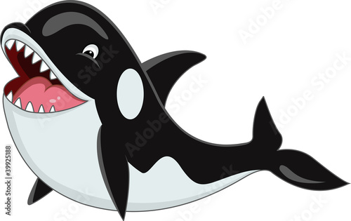 Orca cartoon