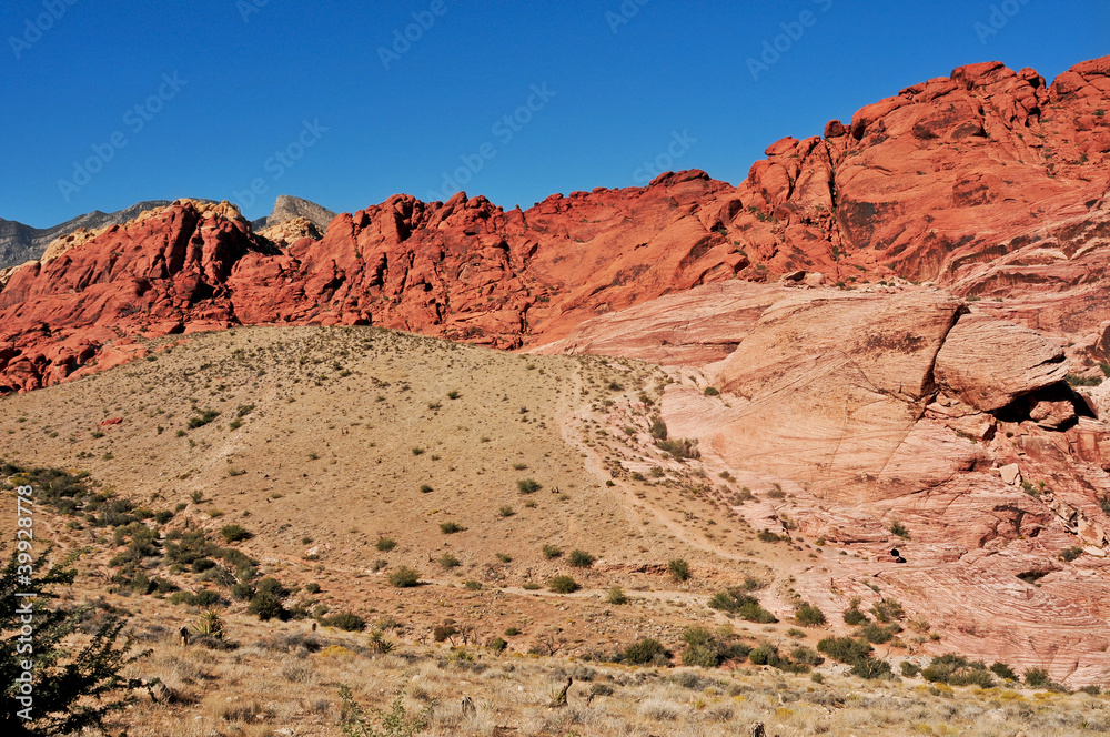 Red Rock Canyon National Conservation Area, Nevada, United State