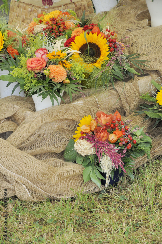 Fototapeta premium Blumen