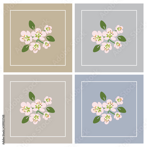Spring Cherry Flowers
