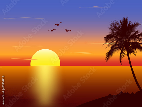 Sunset with palmtree silhouette