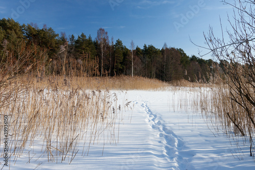 Winter pond