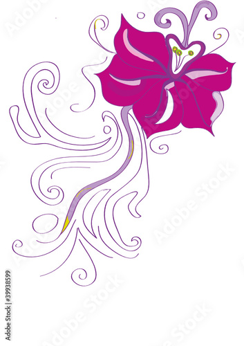 A bright purple flower