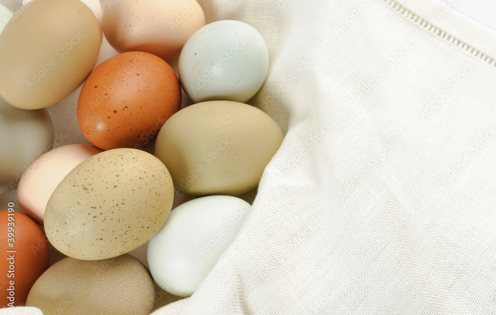 Multi colored chicken eggs Multi colored chicken eggs