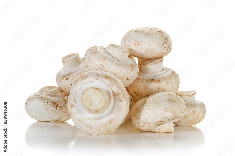 Mushrooms Mushrooms