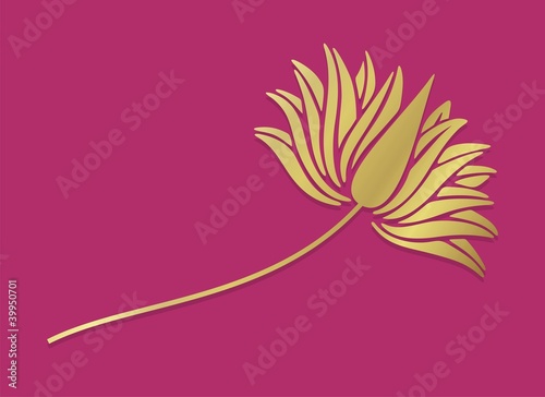 Fototapeta Naklejka Na Ścianę i Meble -  water lily, India