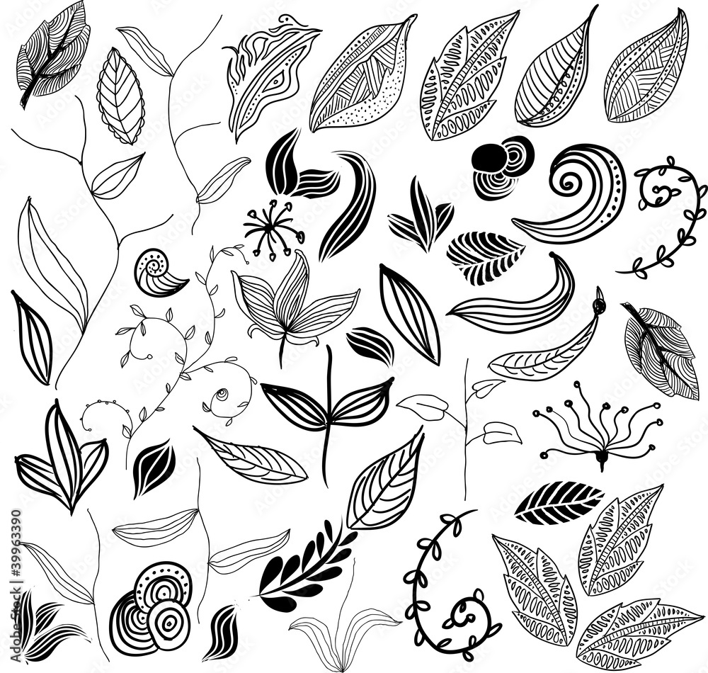 set of leaf vector