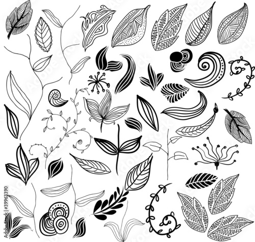 set of leaf vector