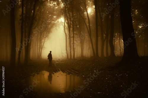 man in a forest reflecting in a pond after rain #39964137