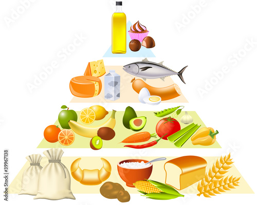 Food pyramid