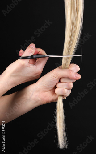 Shiny blond hair in hairdresser's hands isolated on black