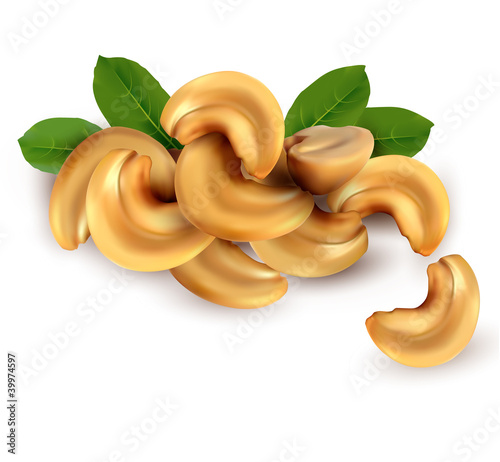 Cashew nuts with leaves. Vector illustration