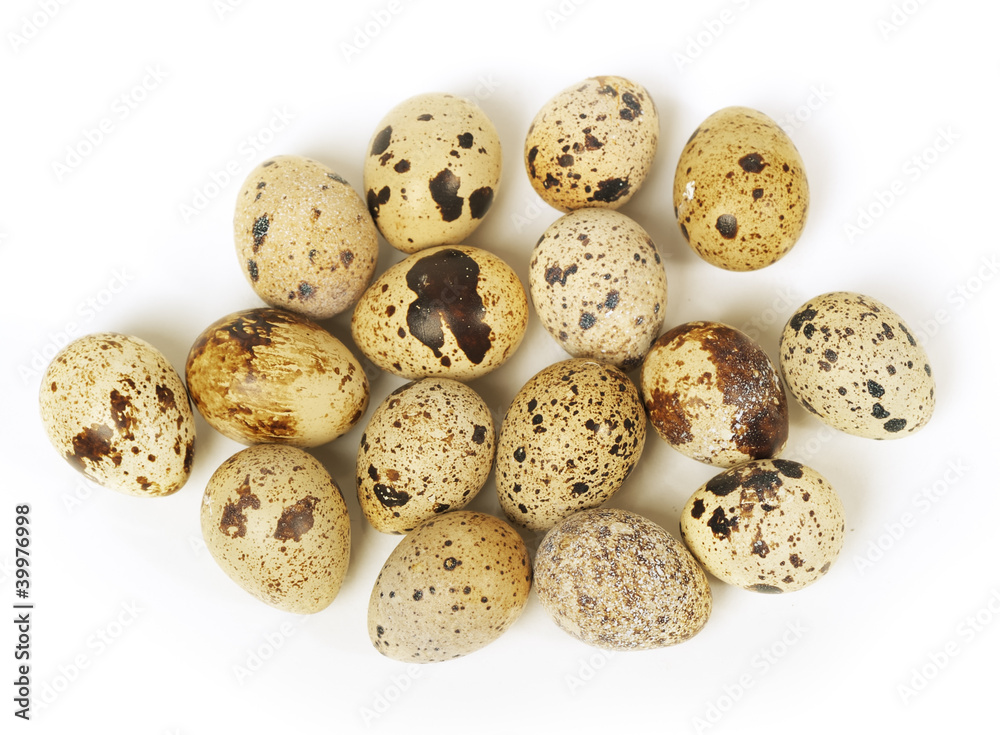 Eggs Eggs