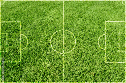 Soccer green grass