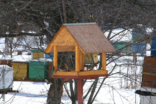 Birdfeeder in a garden © max_olka