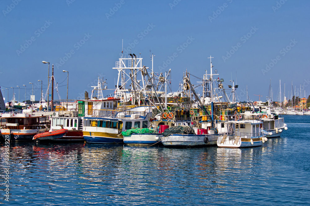 Fishing boats fleet in Harbor
