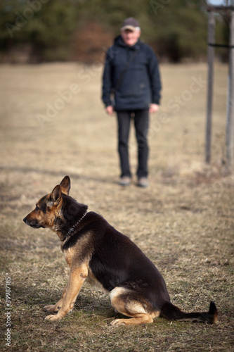 Master and his obedient (German Shepherd) dog © lightpoet