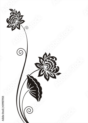 Fototapeta Naklejka Na Ścianę i Meble -  water lily plant , background , India
