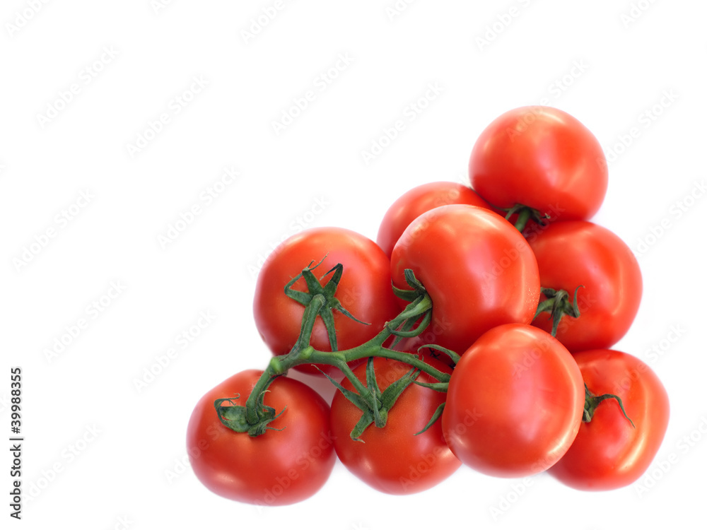 Many Fresh Red tomatoes on green branch isolated on white