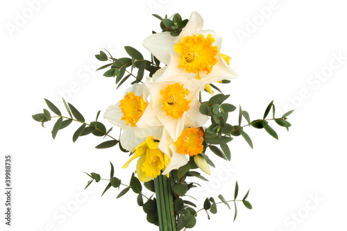 Daffodil flowers and foliage