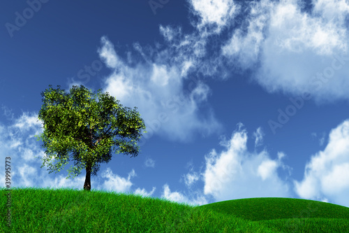 Tree in a Field © boscorelli