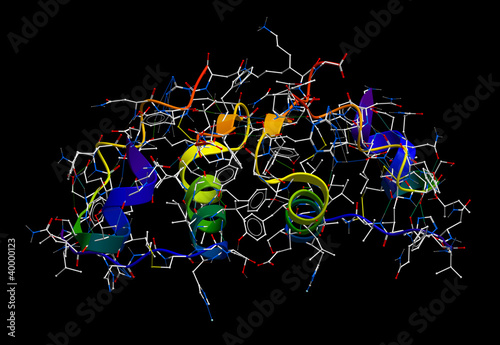 Insulin 3D molecular model