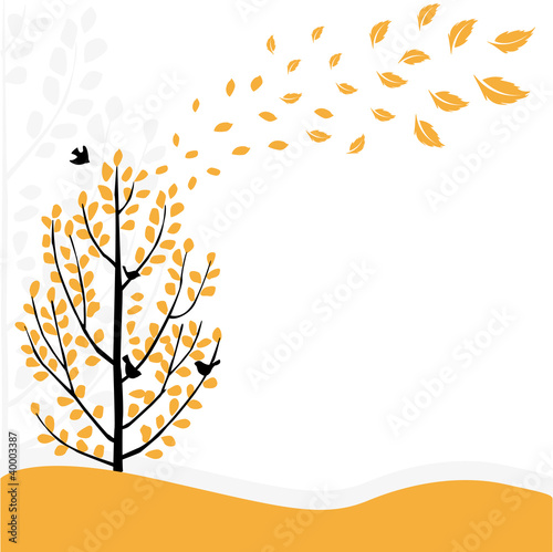 autumn tree