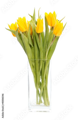 Yellow tulips in vase